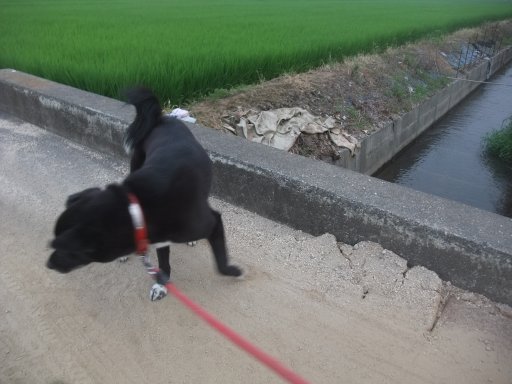 ファイル 1162-3.jpg