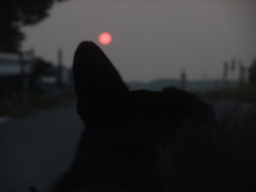 石の上にも何年