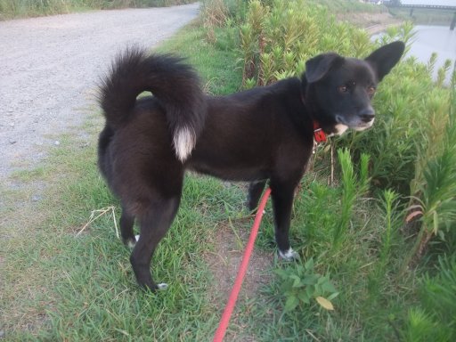 ファイル 1166-2.jpg