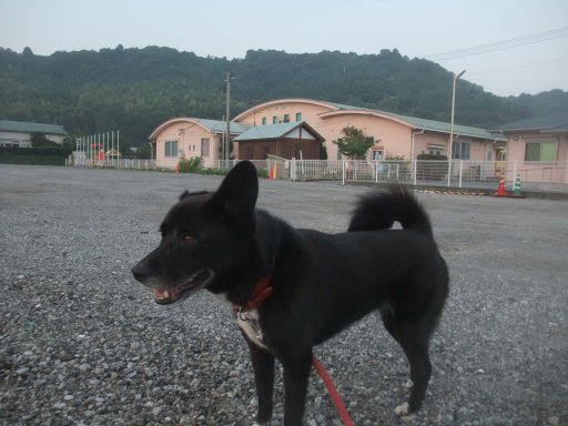 ファイル 1167-2.jpg