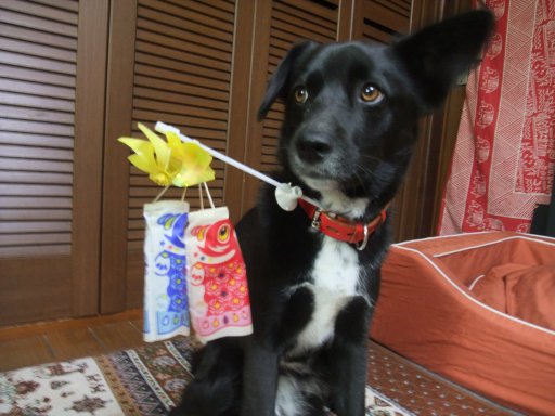 ファイル 118-4.jpg