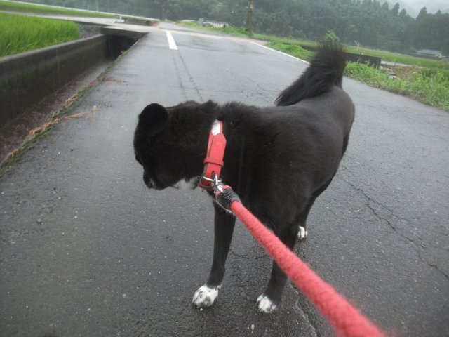 ファイル 1182-2.jpg