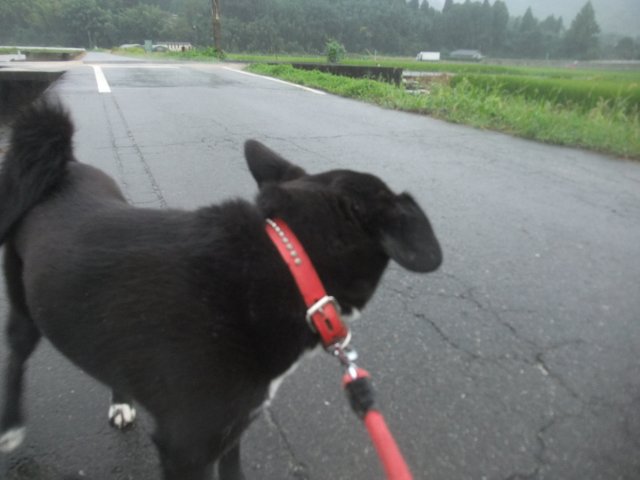 ファイル 1182-3.jpg