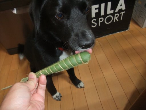 ごろねんウィーク明け