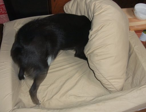 ファイル 119-2.jpg