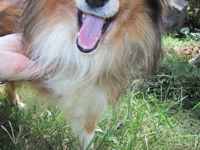 エルのHappy 23rd birthday