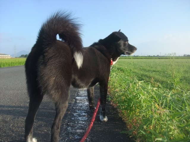 台風行ったの青空