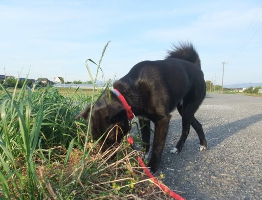 くもりのち晴れ