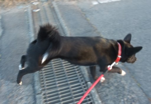 ファイル 121-2.jpg