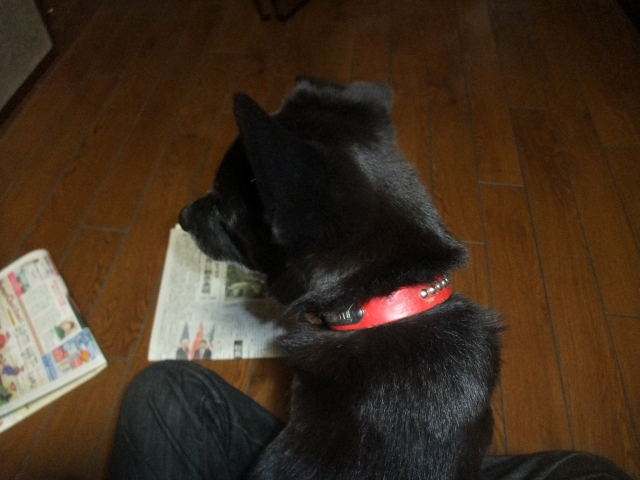 それはスポットライトではない