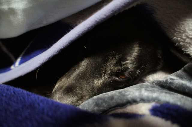 寒波が街にやって来た