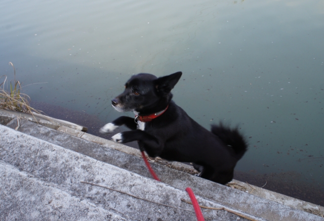 疲れ知らずのイヴ姫