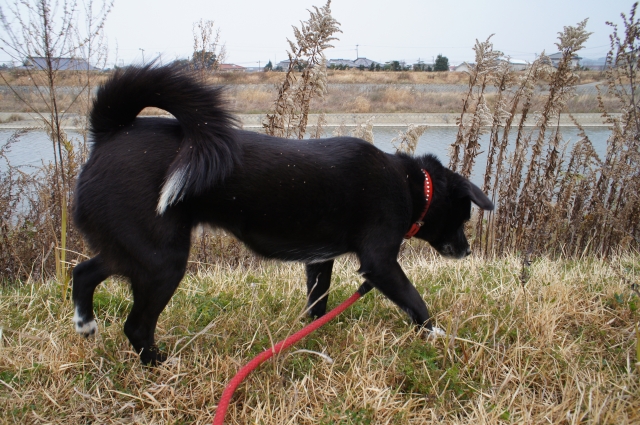 冬は名なりの風の冷たさ