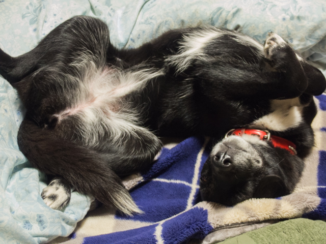 春は名のみの立春だべ