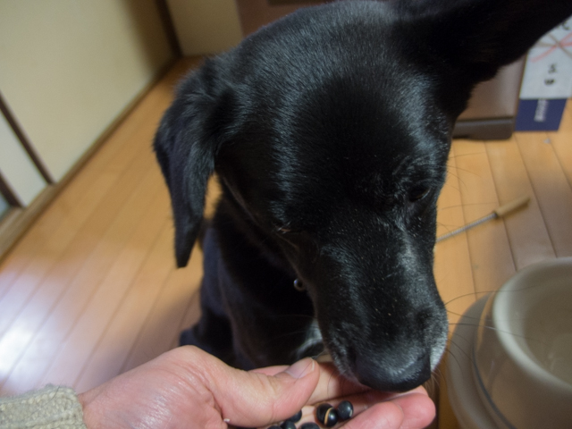 久々にデザートを召す姫