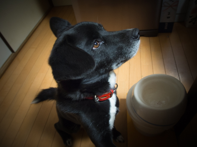 新聞、来ないよ