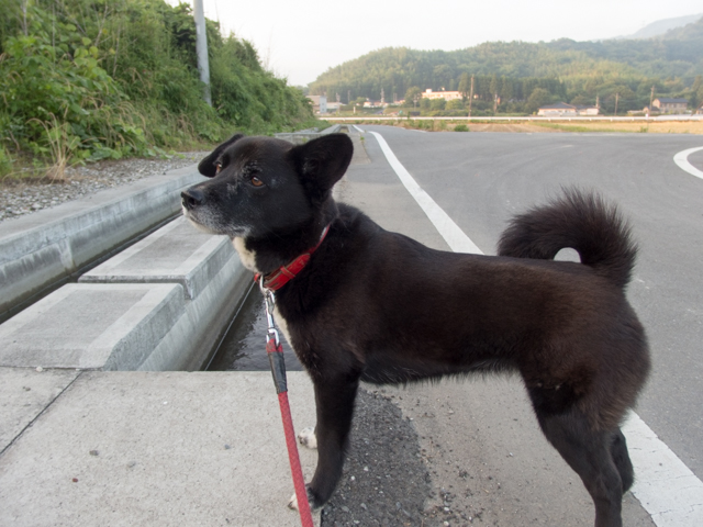 石橋を叩いて渡った先には