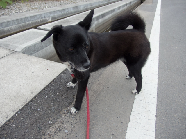 ケツに穴あいた