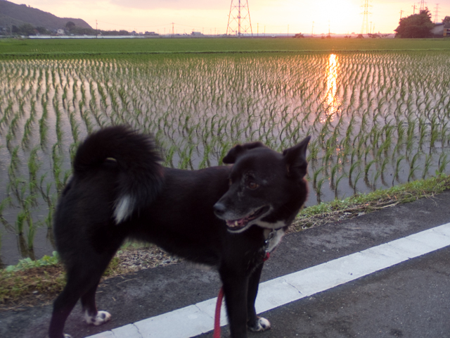 暴風は、うぅだった