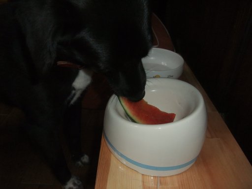 ファイル 146-2.jpg