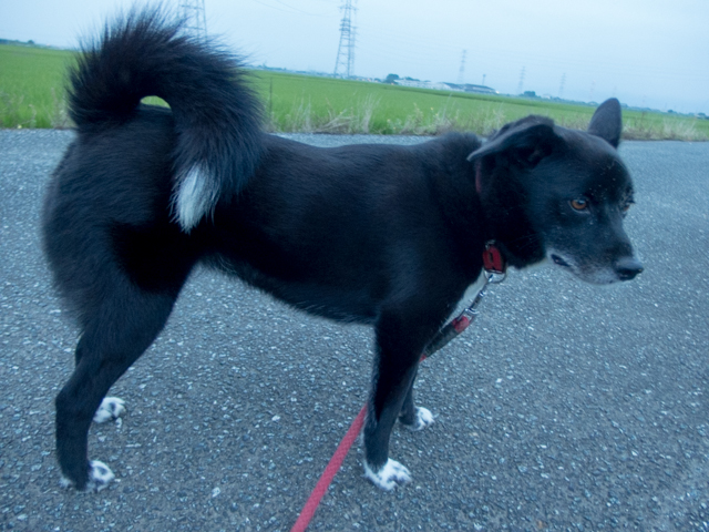 九月のはじまり