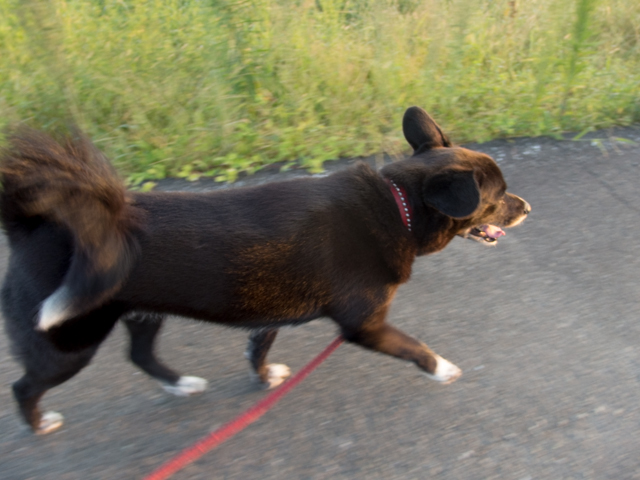 晴れのちゴロゴロ