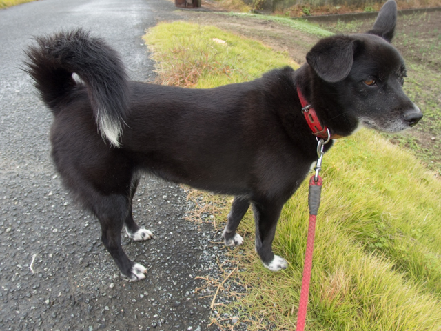 台風行ったの雨のち曇り