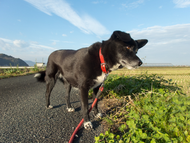 いつも心に青空を
