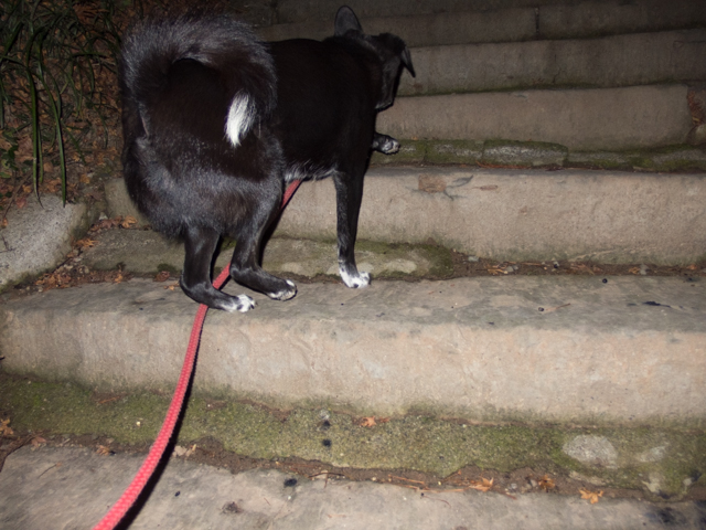 行きは階段、帰りはスロープ