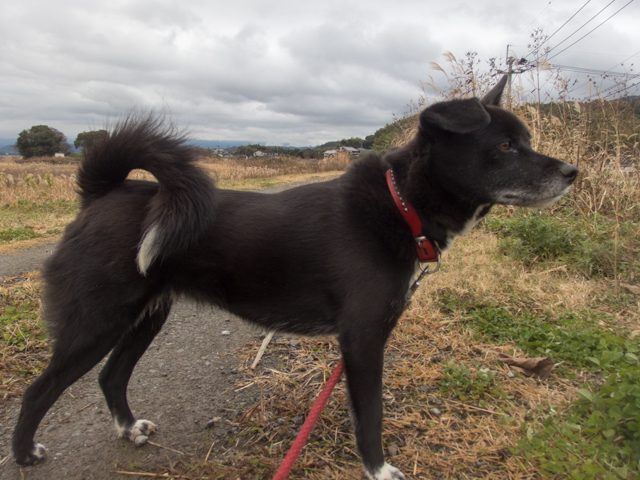 雨の降る日は昼からね