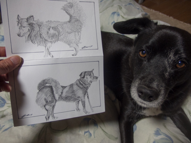 エル＆イヴギャラリー