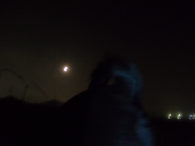 三日月はうまく撮れない