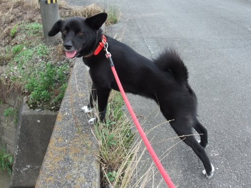 ファイル 162-2.jpg