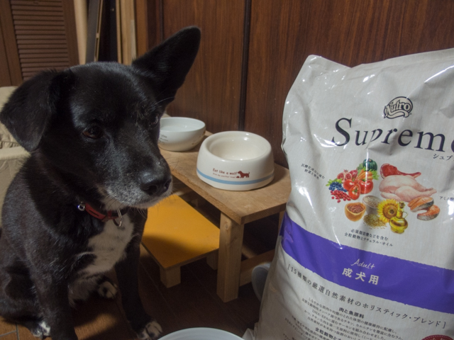 フードを変エル準備はできた