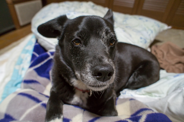 日中は久々の晴れ
