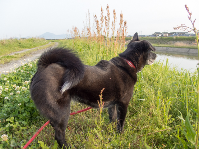 川の流れを見つめて