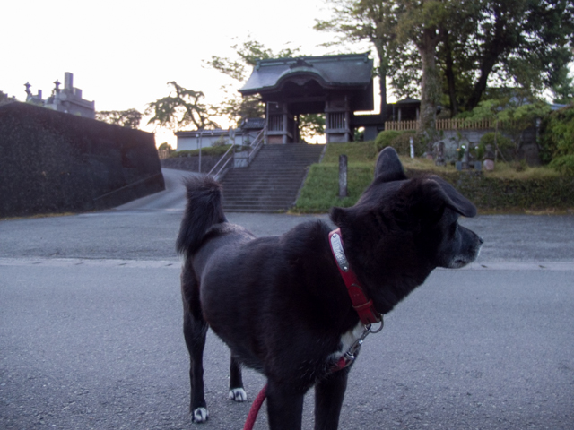 28℃になる日の朝