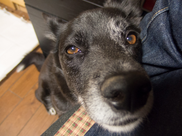 スタンバイ・前と後