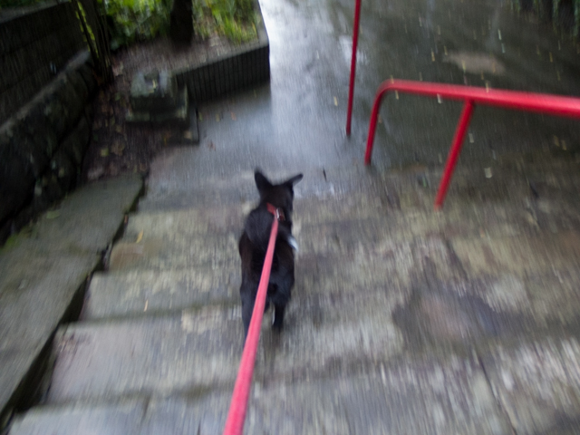 ファイル 1736-3.jpg