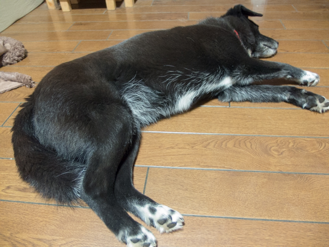 ファイル 1736-5.jpg