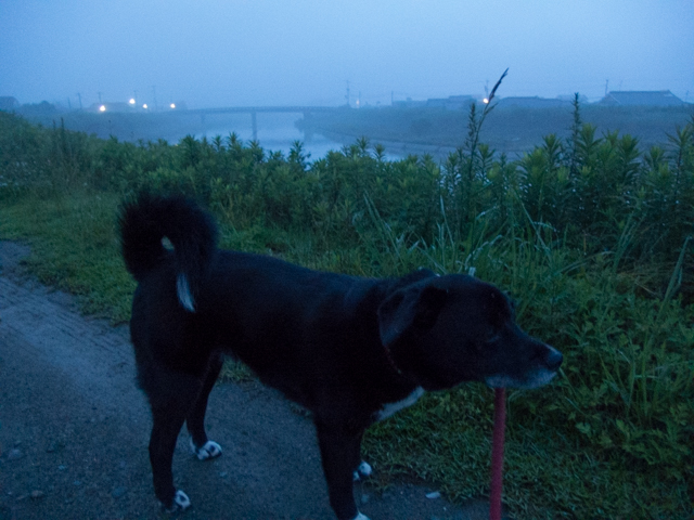 朝のスイカは美味でしゅ
