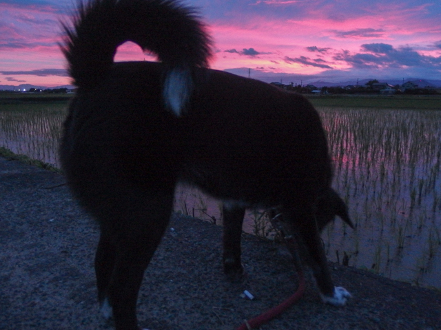 朝焼けとともに