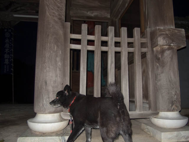 ファイル 1805-2.jpg