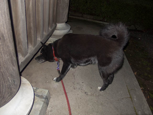 ファイル 1805-3.jpg