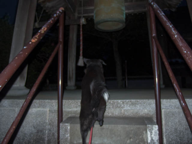 不動尊は姫的マイブーム