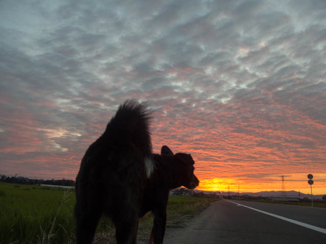 赤い空から青い空