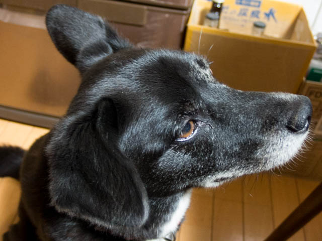 朝の姫は写らない