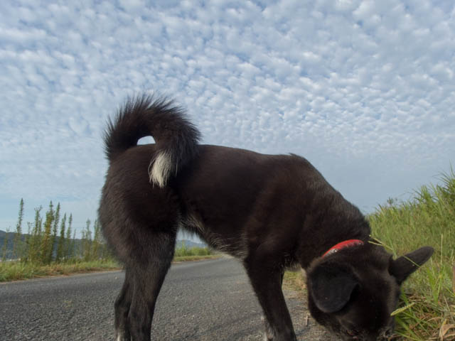 残暑あったざんしょ