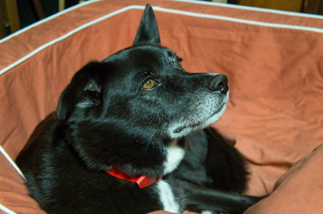 雨の日のイヴ姫