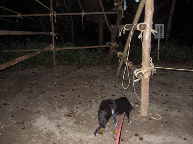 姫の下見（神社編）